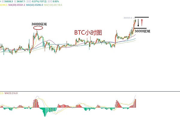 昔日币圈神童沦为阶下囚：SBF监狱生活的残酷真相